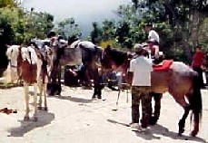 Paseos a caballo en La Chivera