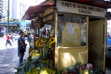 Venta de flores en kiosco de Caracas